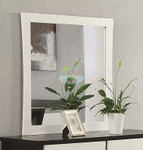 Patrick# NZ Pine  Mirror| TR