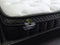 *Latest Arrival* SleepNight# 5 Zoned Pocket Spring with 7cm Euro-top and Encasement Mattress| Single size | LS