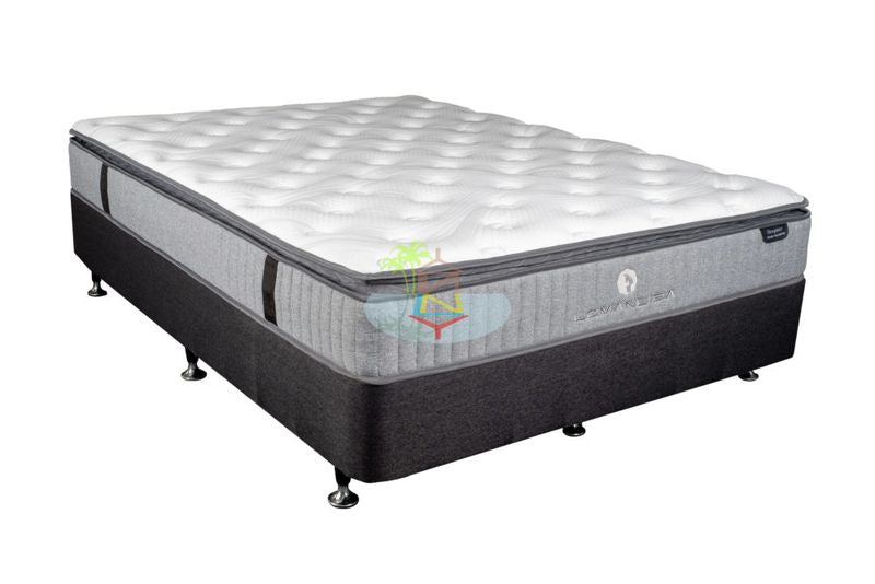 *Classic* Pocket spring with a 6cm Comfy Pillow Top Mattress | Model Plw Pkt